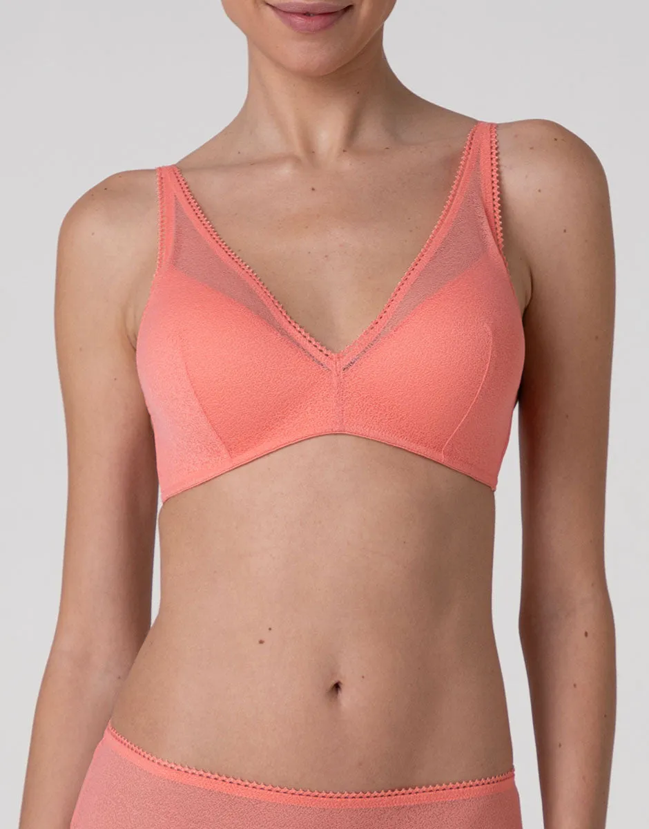 Lovable Garden Flowers Lace Fancy Mesh reggiseno corallo imbottito